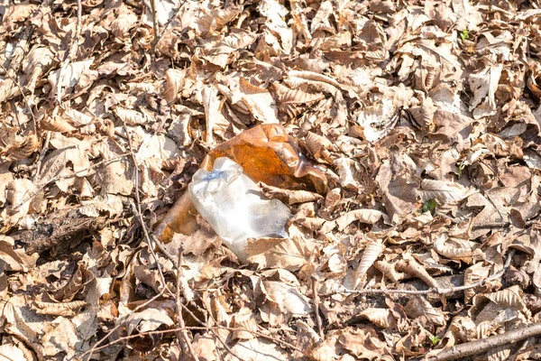 Осеннем Лесу Осталась Грязная Пластиковая Стеклянная Бутылка Пластиковые Отходы Окружающей — стоковое фото