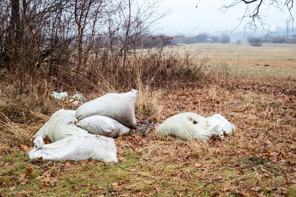 Heaps Garbage Bags Thrown Out Woods — Stock Photo, Image
