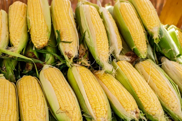 Markette yeşil yapraklar arasında taze mısır koçanı