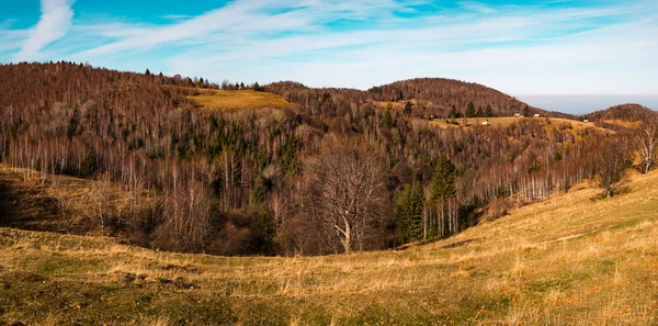 ルーマニアの古い羊は 秋の季節に丘の上に折り畳まれ ファンタネレ村 シビウ郡 シンデレラ山 1100メートル ルーマニア — ストック写真