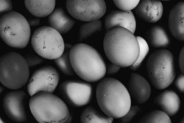 Група Зібраних Свіжих Курячих Яєць Монохромний Вид — стокове фото