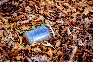 İnsan hayatı ürünlerinin çevre kirliliği kavramı. Ev atıklarının atıkları sonbahar ormanlarını kirletiyor. Dumbrava Ormanı, Sibiu,