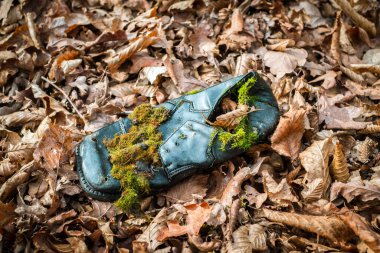 İnsan hayatı ürünlerinin çevre kirliliği kavramı. Ev atıklarının atıkları sonbahar ormanlarını kirletiyor. Dumbrava Ormanı, Sibiu,