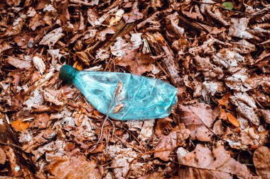 İnsan hayatı ürünlerinin çevre kirliliği kavramı. Ev atıklarının atıkları sonbahar ormanlarını kirletiyor. Dumbrava Ormanı, Sibiu,