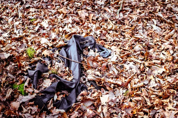 人間の生活製品による環境汚染の概念 汚染された秋の森から出るゴミ シビウのダンブラヴァの森 — ストック写真
