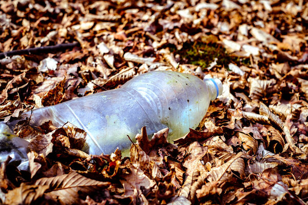 The concept of environmental pollution by human life products. Garbage from domestic waste polluted autumn forest. Dumbrava forest, Sibiu,