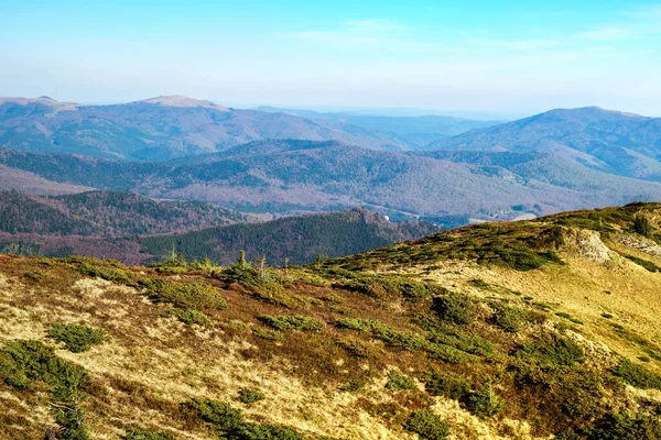 Panorama Des Montagnes Crête Bratocea Montagnes Ciucas Comté Brasov Roumanie — Photo