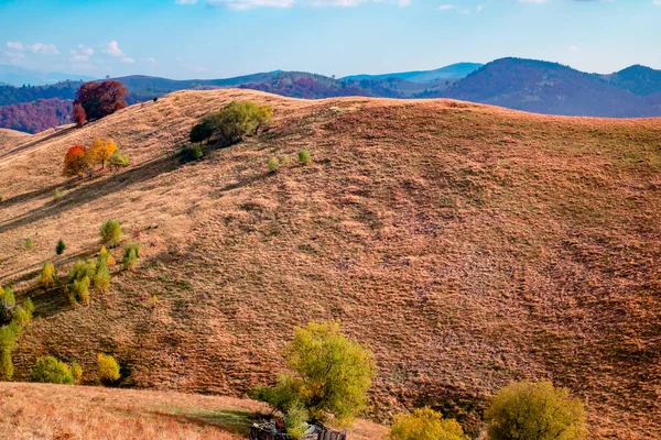 Rumänische Berge Der Herbstsaison Cindrel Berge Paltinis Bereich Sibiu County — Stockfoto