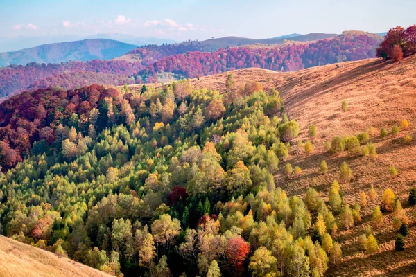 Rumänische Berge Der Herbstsaison Cindrel Berge Paltinis Bereich Sibiu County — Stockfoto