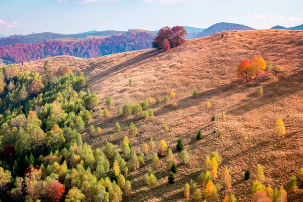 Montanhas Romenas Época Outono Montanhas Cindrel Área Paltinis Condado Sibiu — Fotografia de Stock