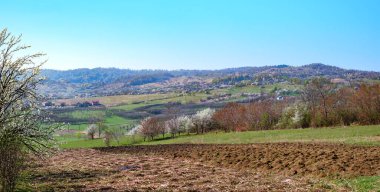 Romanya 'nın Prahova ilinin Posestii-Ungureni köyü, Romanya' da bahar manzarası