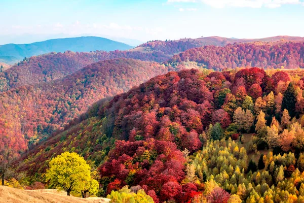 Rumuńskie Góry Jesienią Góry Cindrel Obszar Paltinis Powiat Sibiu Centralna — Zdjęcie stockowe