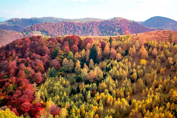 Montanhas Romenas Época Outono Montanhas Cindrel Área Paltinis Condado Sibiu — Fotografia de Stock