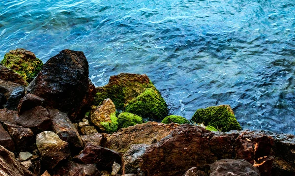 海滨长有苔藓的石头 — 图库照片