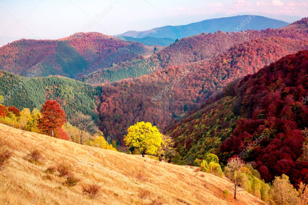 Romanian mountains in autumn season, Cindrel mountains, Paltinis area, Sibiu county, central Romania