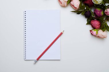 Bir defter üstünde kırmızı kalem ile