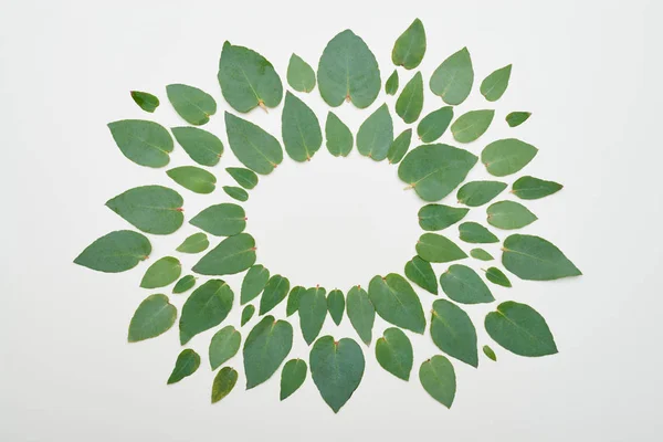 Cirkel voor een kopie ruimte gevormd door groene bladeren — Stockfoto