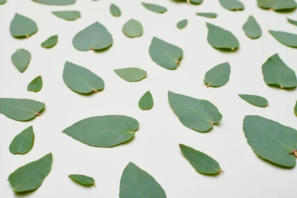 Bovenaanzicht van een groene bladeren patroon — Stockfoto