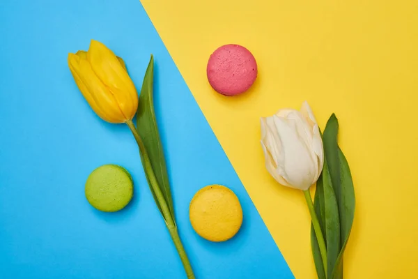 Alto angolo di una bella composizione è costituito da tulipani primaverili e m — Foto Stock