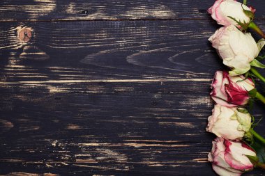 Bir dizi güzel güller, düz yatıyordu resim seçici odak