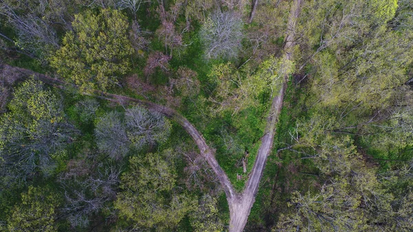 Twee wegen komen samen in voorjaar bos, luchtfoto — Stockfoto