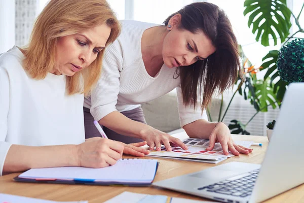 Gorgeous businesswomen working with catalog of color palette — Stock Photo, Image