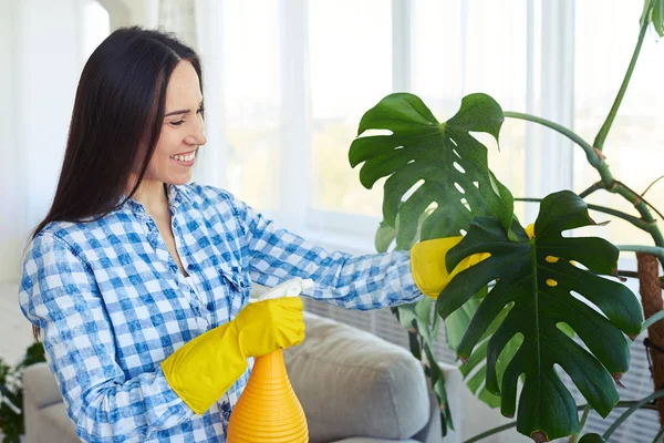 Leende hemmafru stänkande vatten på blad av krukväxt — Stockfoto