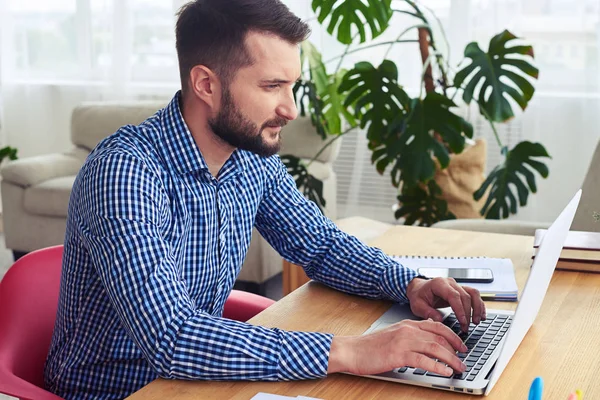 Homem atraente trabalhando em laptop enquanto sentado em poltrona vermelha — Fotografia de Stock