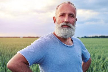 Adam yeşil buğday alanında ayakta üst düzey gri sakallı 