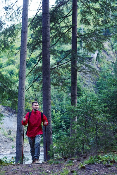 Young man with beard walking in mountainous forest — Stock Photo, Image