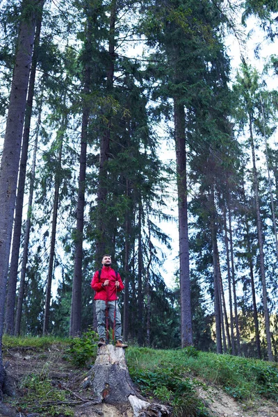 Thoughtful man standing on stump, holding hiking poles — Stock Photo, Image