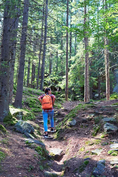 Woman with backpack hiking in mountain forest — Stock Photo, Image