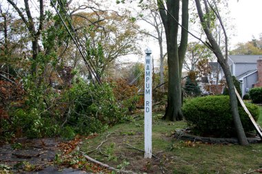 Ağaç dalları süper fırtına Sandy sonra düşen teller üzerinde