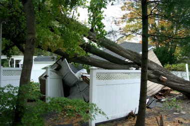 Hurricaine süper fırtına Sandy sonra ağaçlar tarafından ezilmiş garaj
