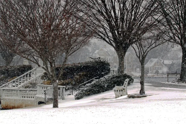 Argyle lake in Babylon Village in a snow storm