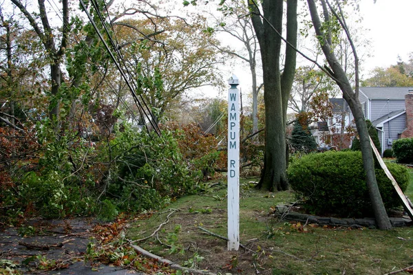 Ramas de árboles en cables caídos después de Super Storm Sandy — Foto de Stock