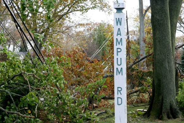 Trees and poles down in the street — Stock Photo, Image