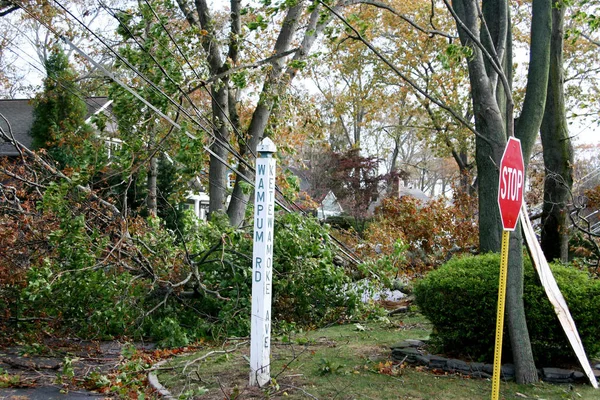 Daño por el viento de la súper tormenta Sandy en Babylon, NY — Foto de Stock