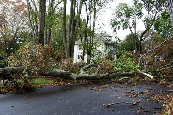 Stromy sundat elektrické dráty sedne Super bouře Sandy — Stock fotografie