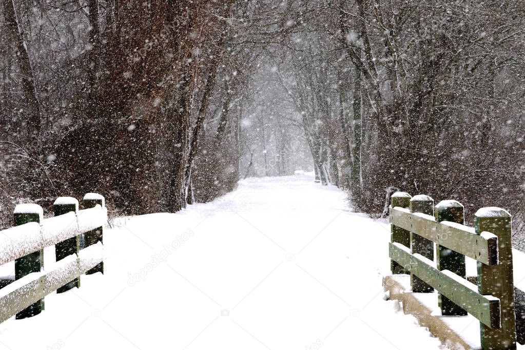 Snow blowing sidways in a park