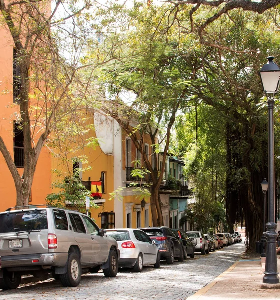 Oude San Juan met bomen omzoomde straat — Stockfoto