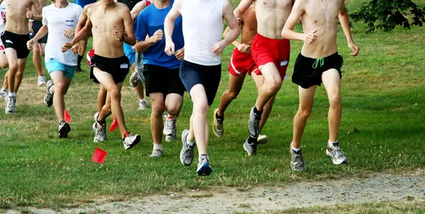 Middelbare school jongens lopen een langlauf-race — Stockfoto