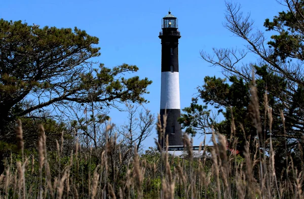 Fire Island Lighthouse obklopen štětec — Stock fotografie