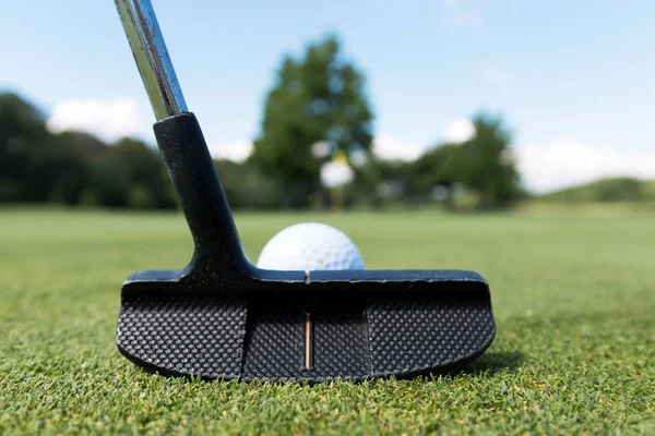 Putter negro con bola blanca en el verde —  Fotos de Stock