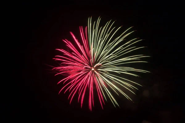 Fogos de artifício vermelhos ou rosa e brancos — Fotografia de Stock