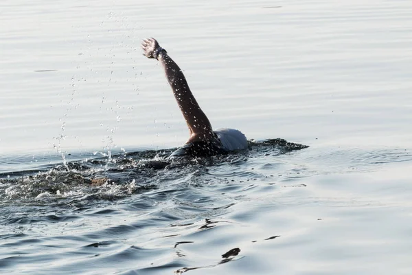Ženské plavání v otevřené vodě se wetsuite a koupání ca — Stock fotografie