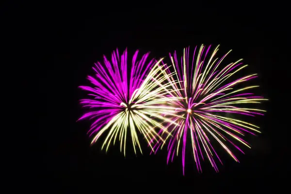 Fogo de artifício rosa e branco iluminam o céu — Fotografia de Stock