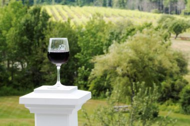 Backgroune kırmızı şarap ve Vinyard ile şarap cam