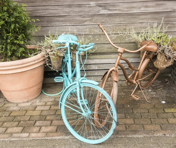 Blaue und goldene Fahrräder als Blumenschmuck — Stockfoto