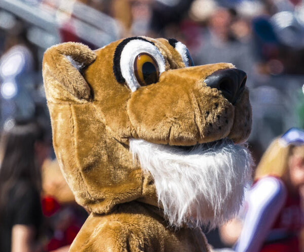 Mascot at a football game